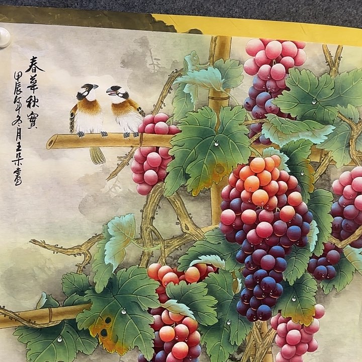 国画葡萄1122333366666666