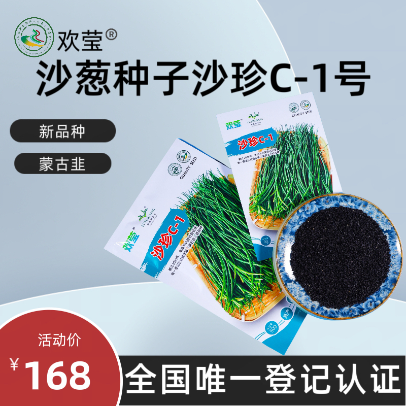欢莹农科沙葱（蒙古韭）种子沙珍C-1内蒙古唯一认证
