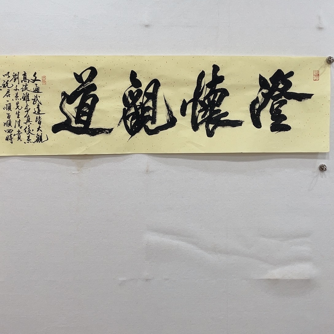 横款博航艺术书法作品集