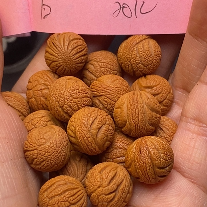 桃核吊坠秦岭龙纹桃核12尺寸