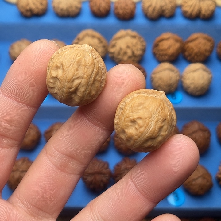把件文玩核桃胖头陀小号