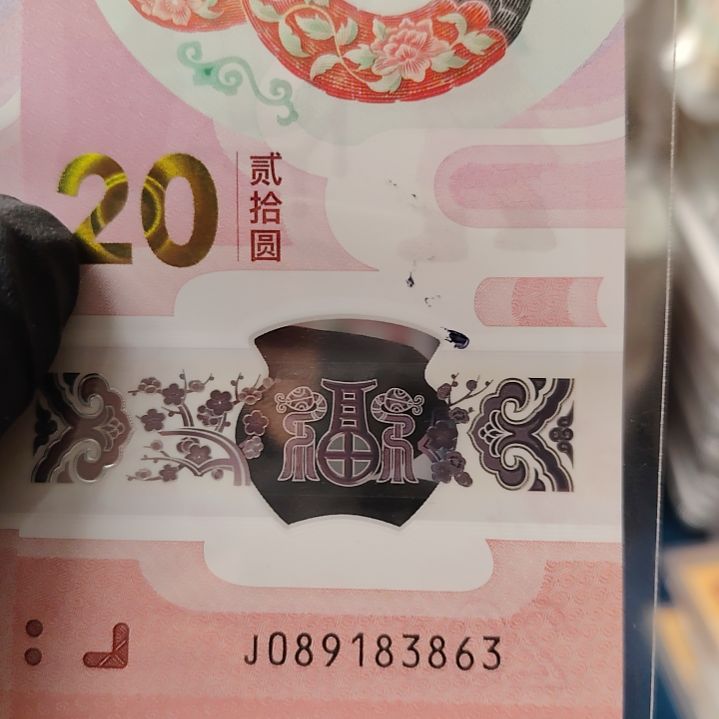 塑料蛇钞单张089183863