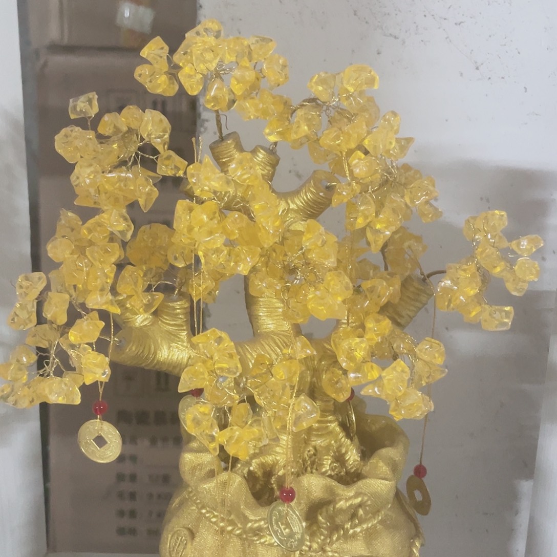 大发财树111111111