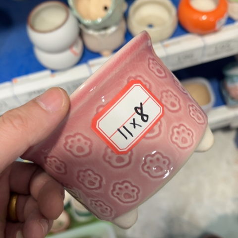 ［所有订单凑满15包邮］11×8