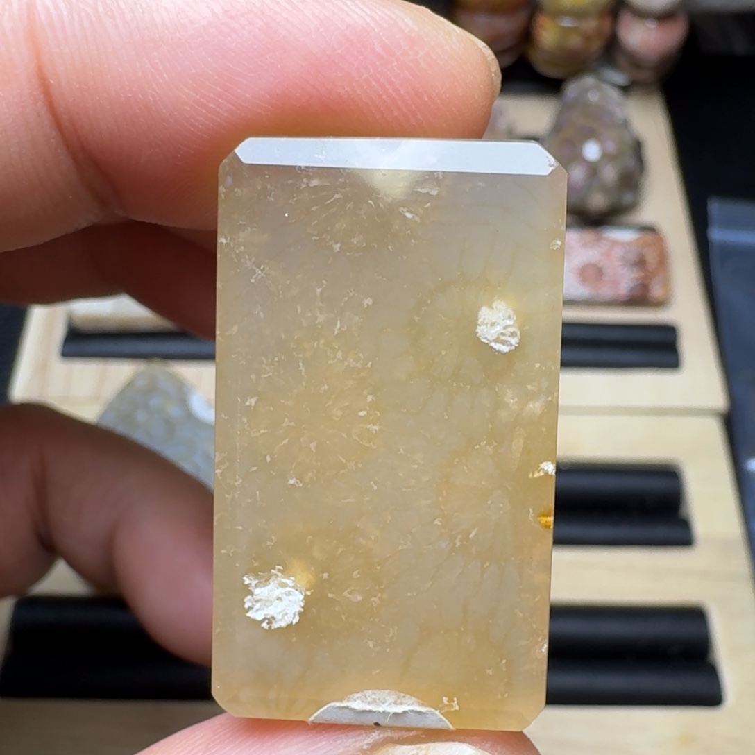 硅化珊瑚（珊瑚玉）未镶嵌纯天然色有机玉石保真色