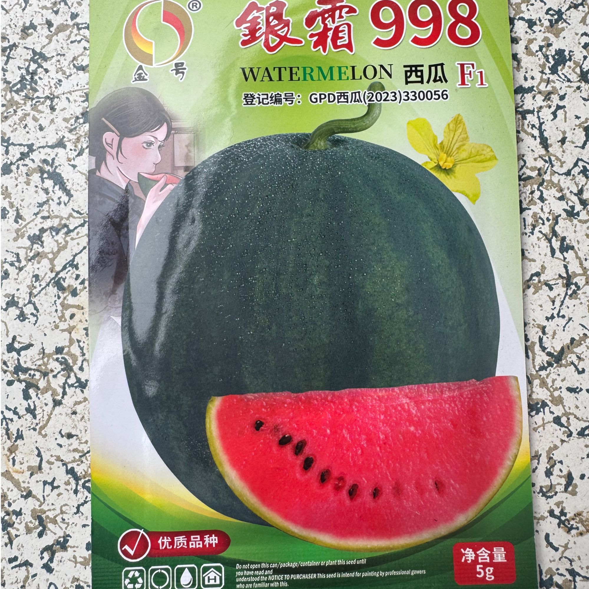 春秋种植银霜998西瓜