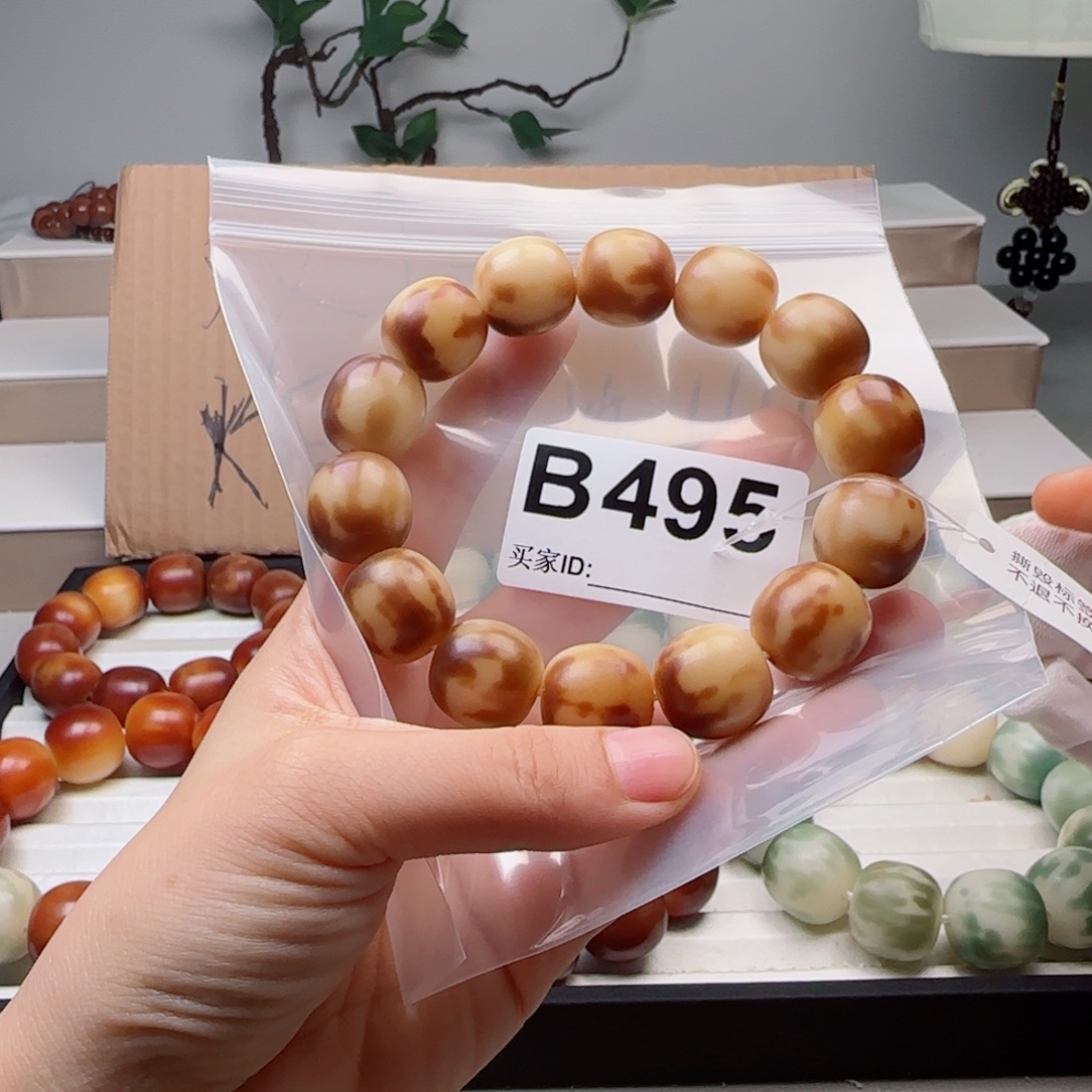 菩提根/象牙果手串菩提1.8