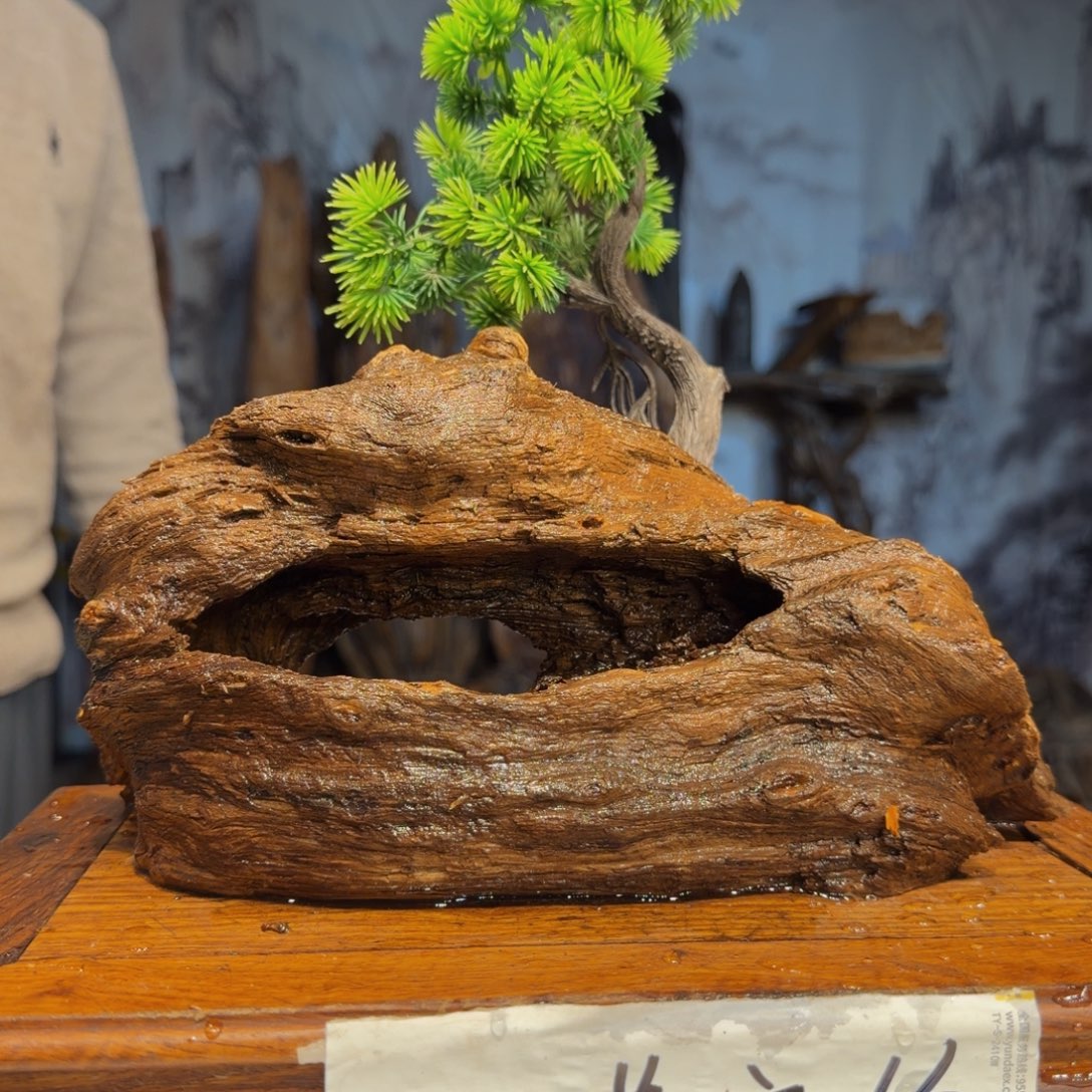 ＊***＊木三丰琥珀木 天然摆件26