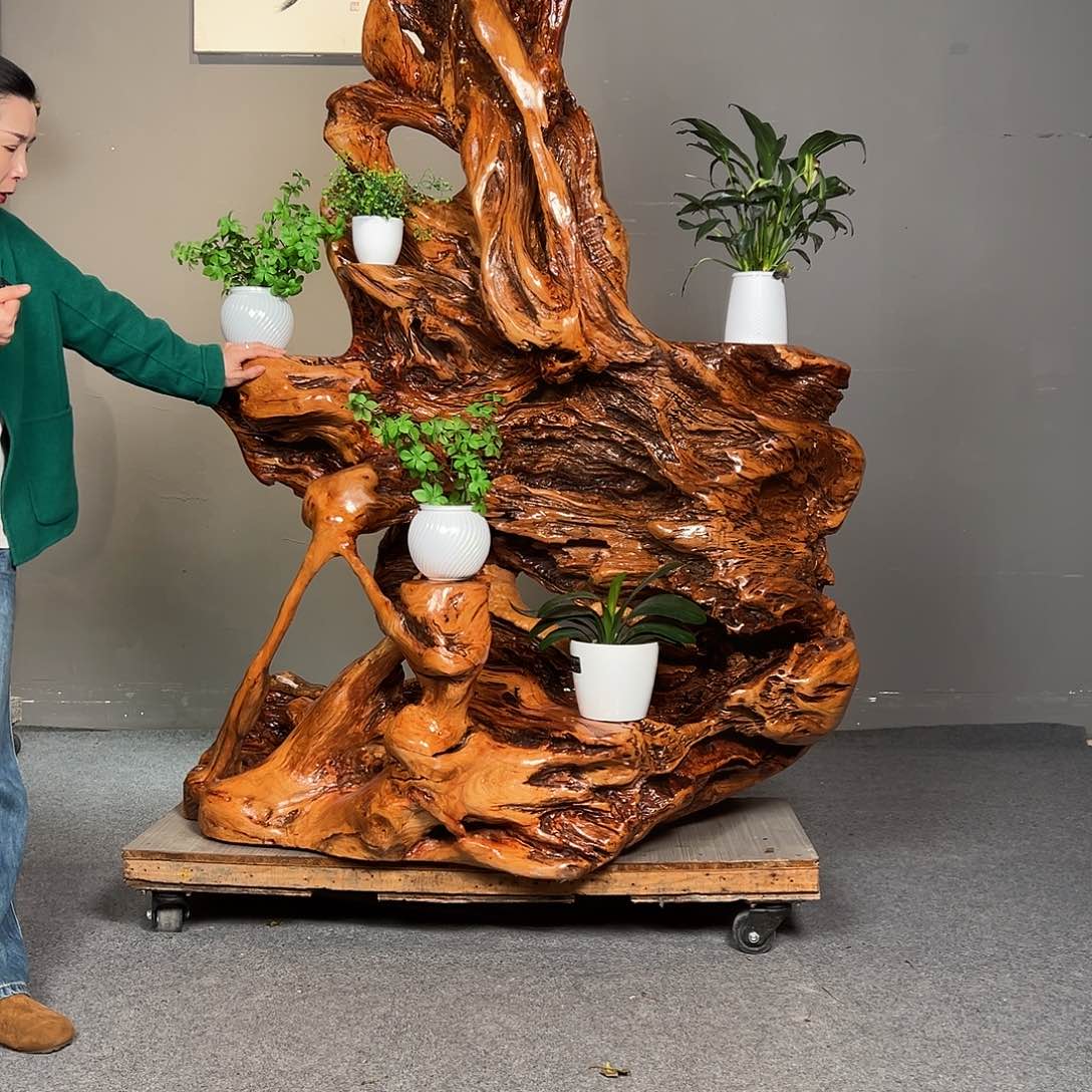 香榧木整体造型设计
