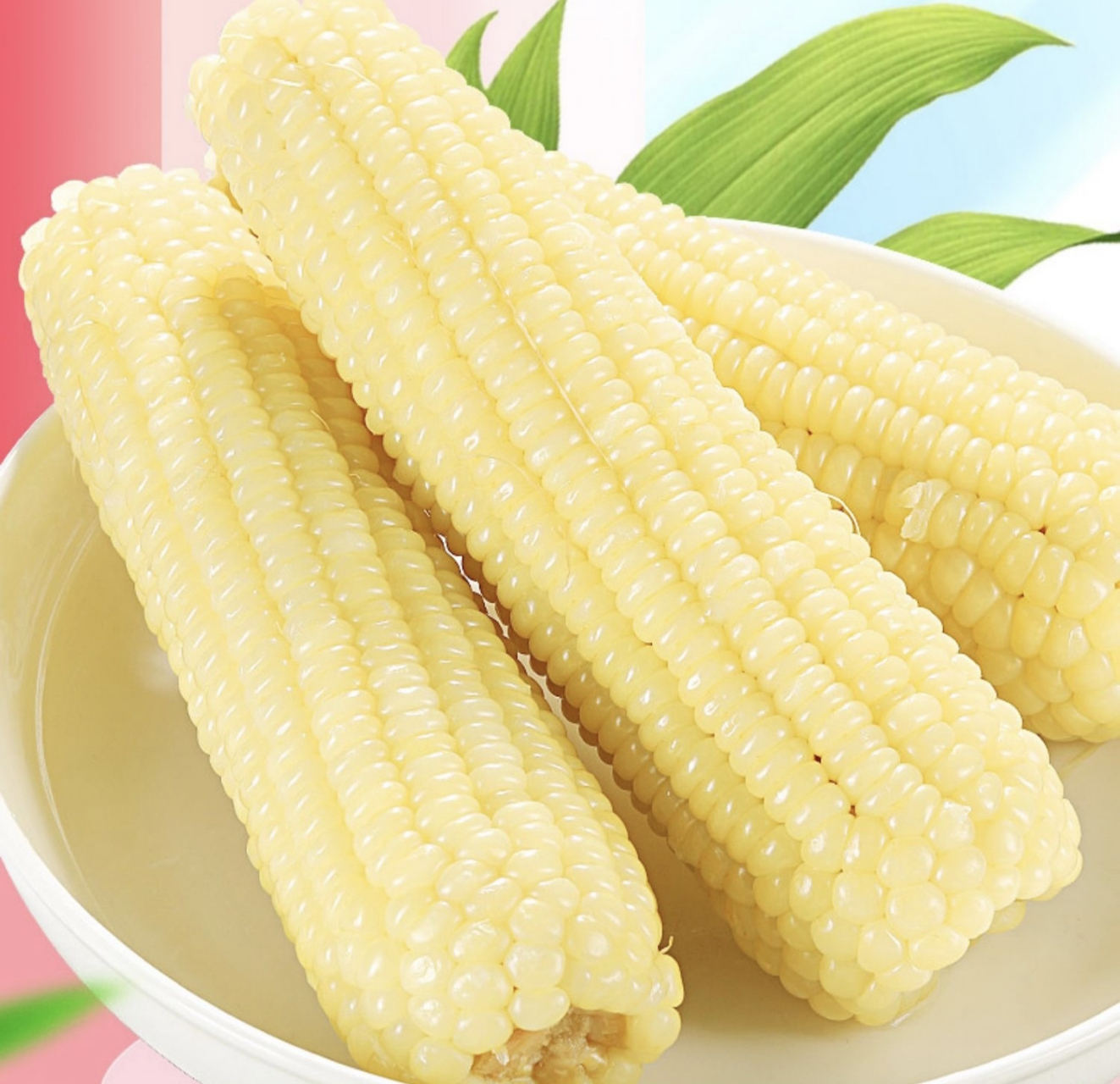 新鲜白糯玉米包装香甜软糯低脂代餐即食粗粮