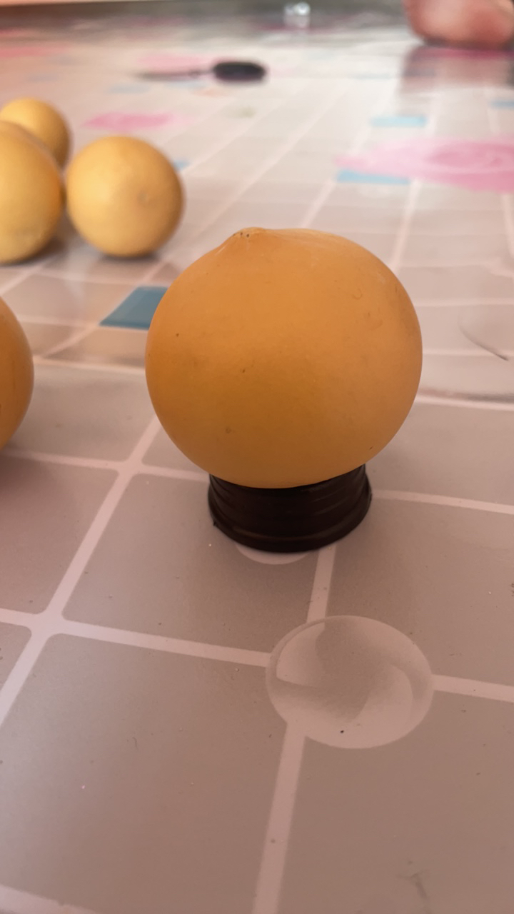 新品种大鸡蛋葫芦50 个