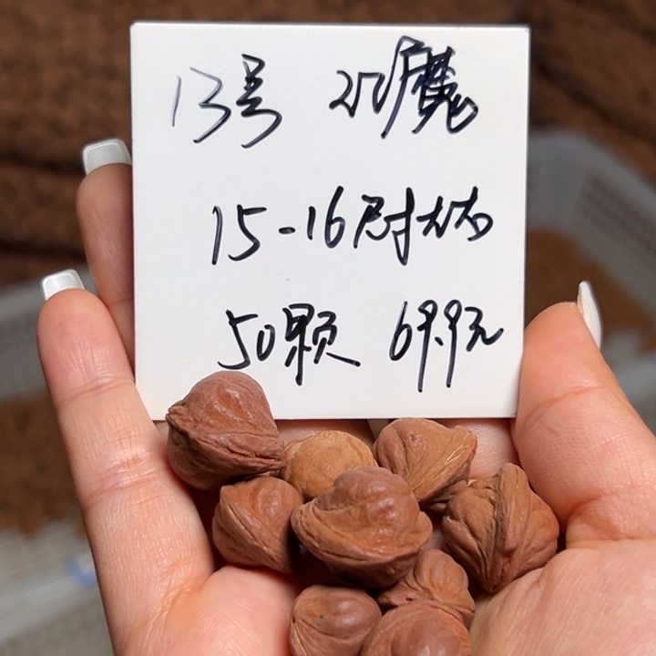 木质类雕刻料肚卡15-16 50颗