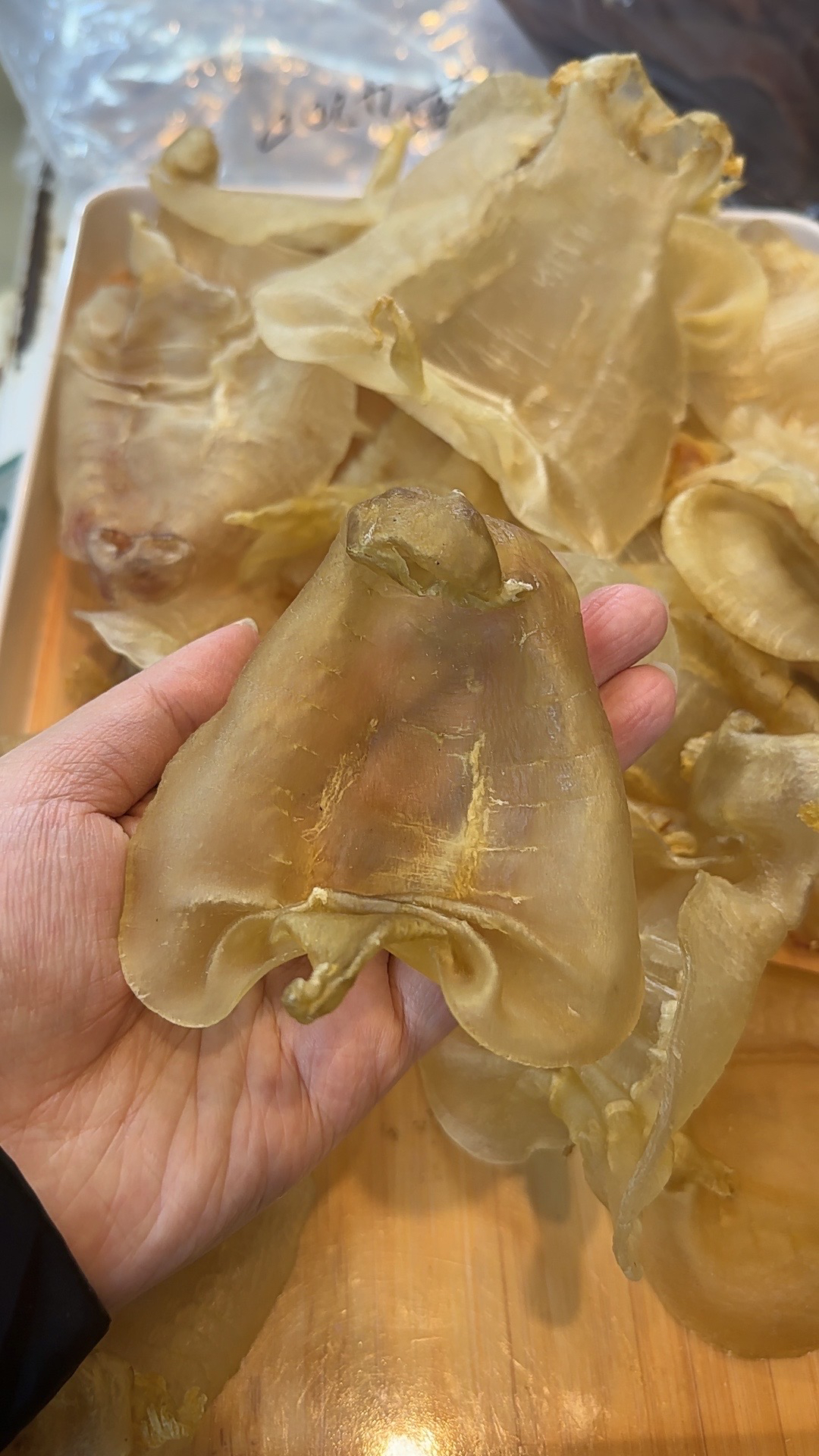 南澳鱼胶 本地赤嘴公