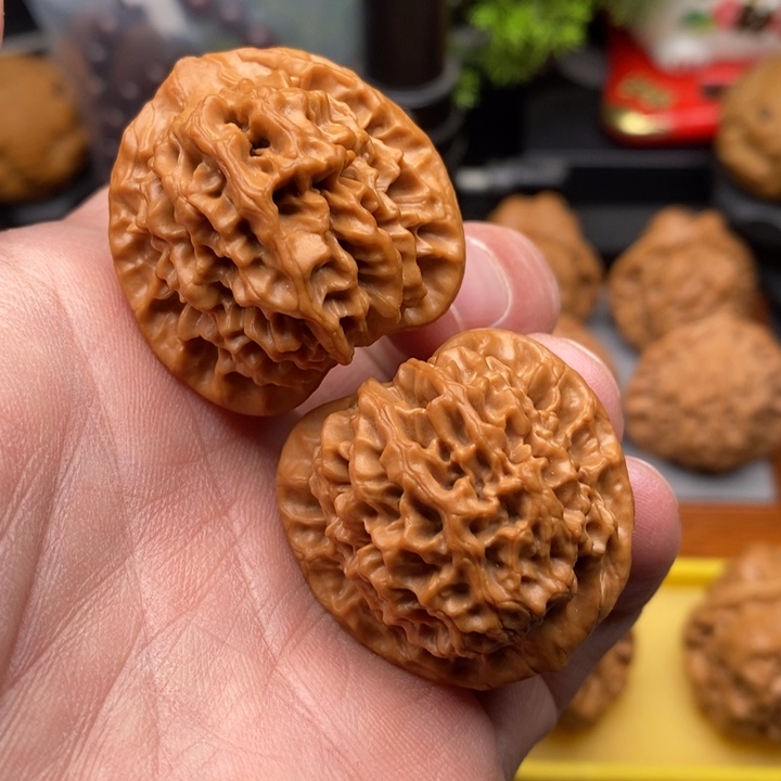 木质类全品毕业款秦闷