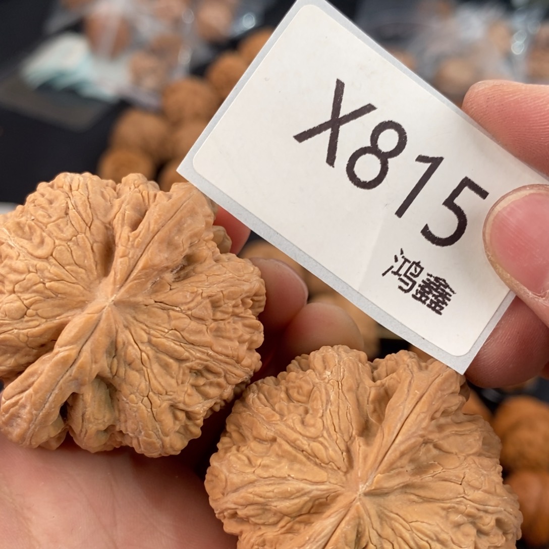 文玩核桃把件龙*48大粗筋