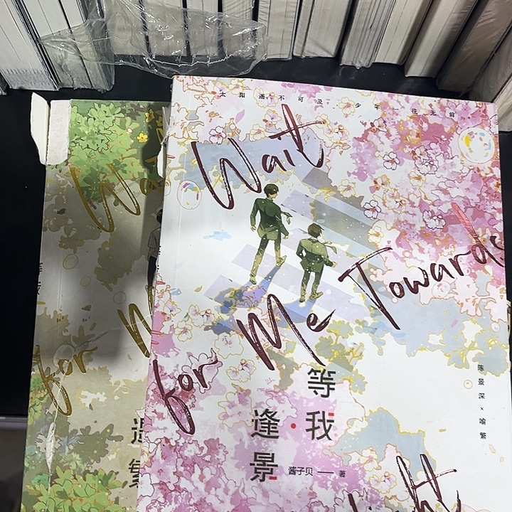 放学等我全新全套两本带周边