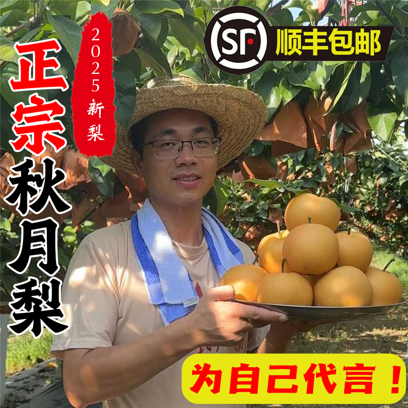 顺丰包邮 正宗秋月梨7斤精品礼盒梨子薄皮脆甜多汁现摘现发