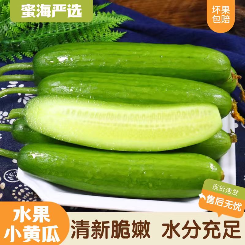 【蜜海严选】山东水果小黄瓜3斤清新脆嫩 水分充足