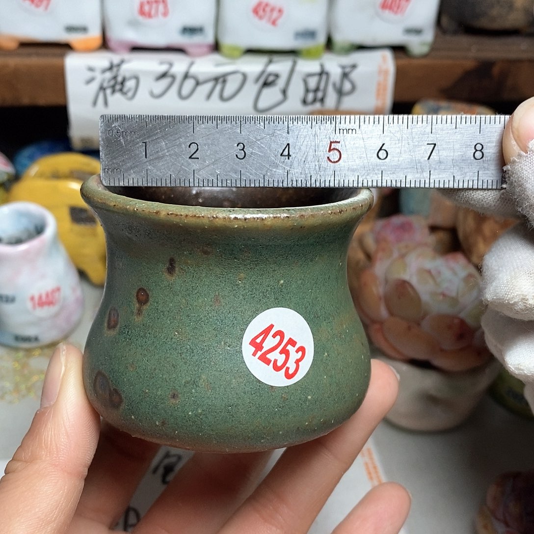 红陶拍5送一个小