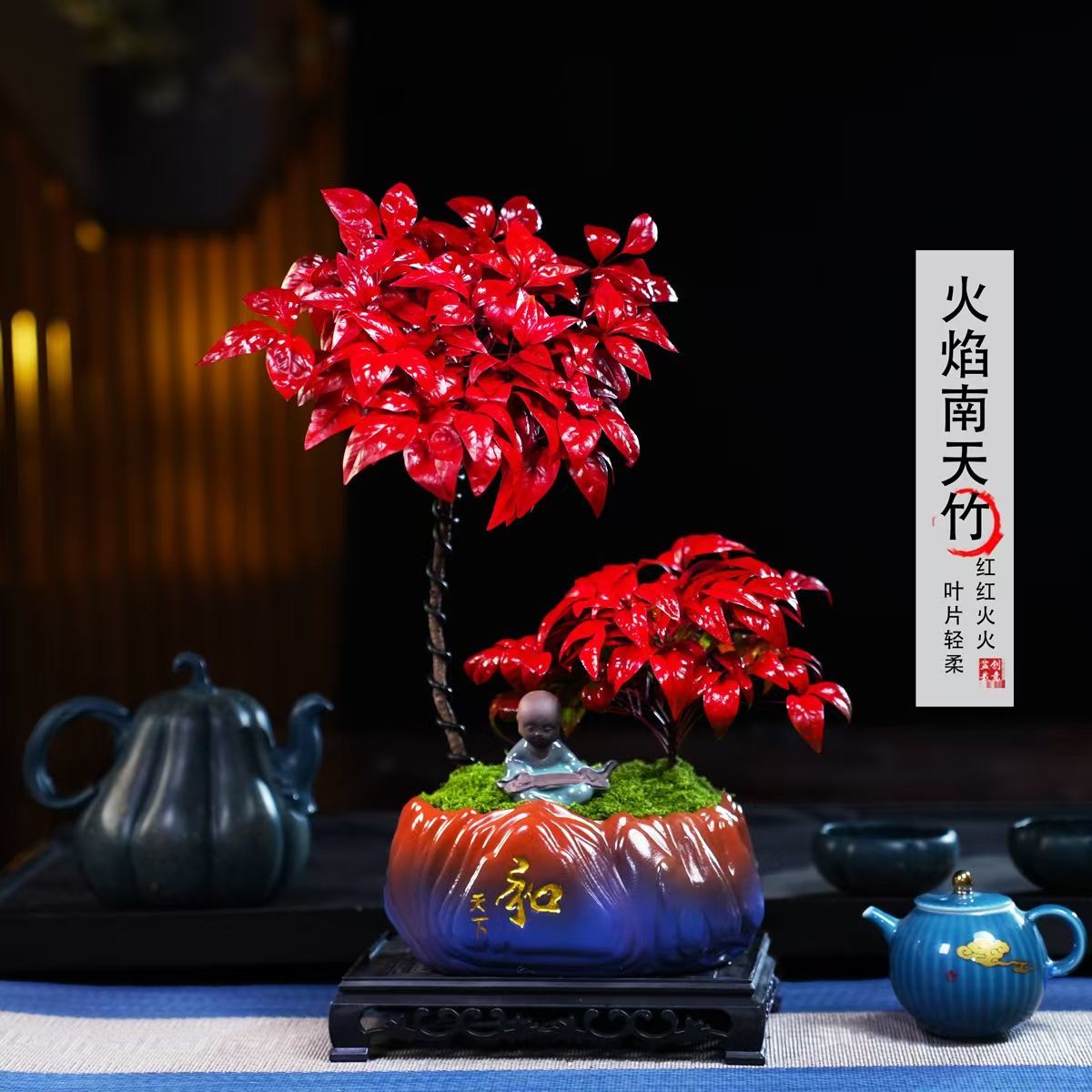 【越冷越红】高低火焰南天竹客厅绿植桌面盆栽好养易活禅意盆景