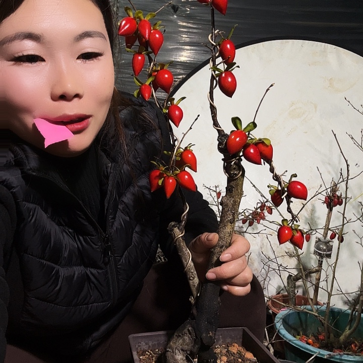 调***调完全开放老鸭柿子