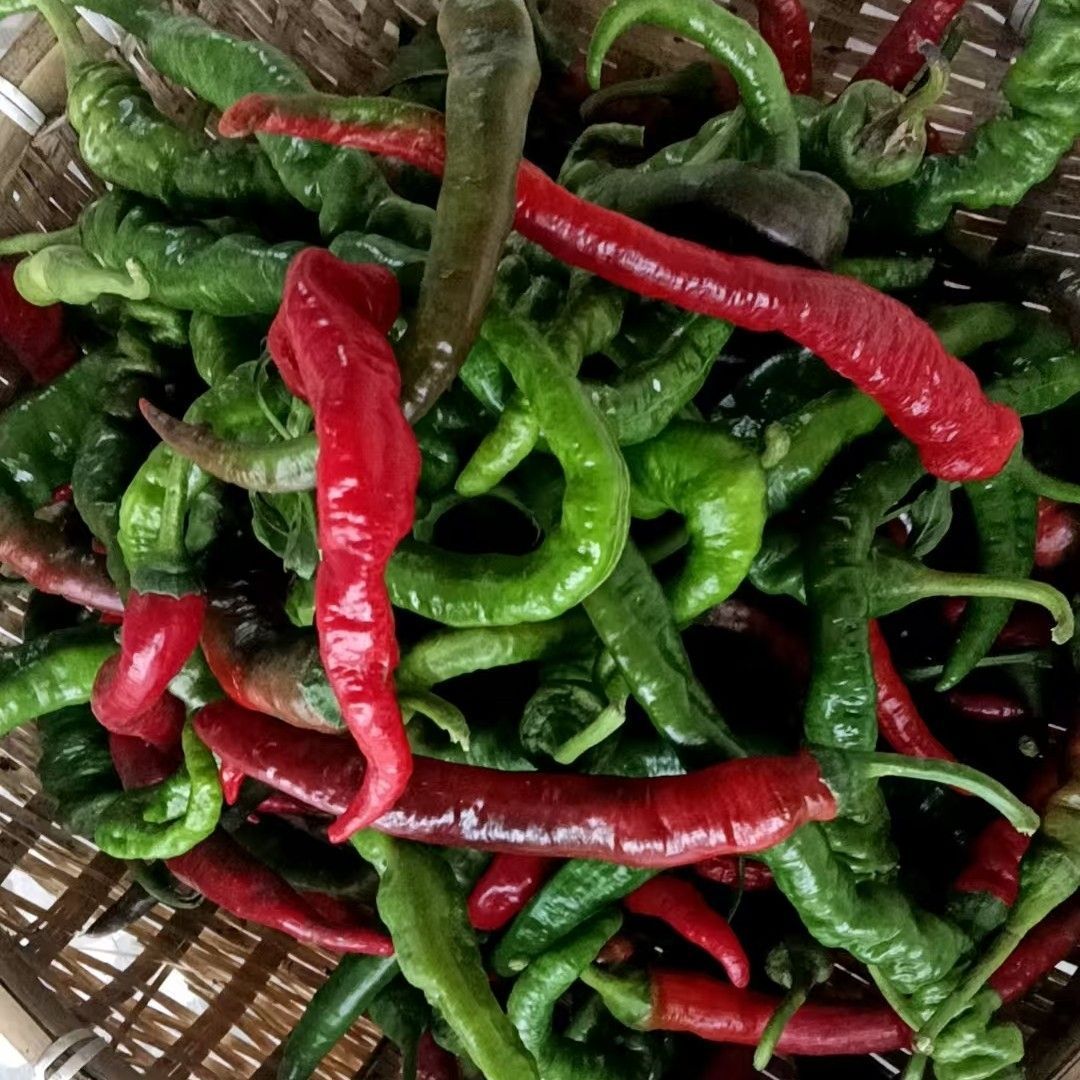 【顺丰包邮】新鲜农家螺丝椒3斤包邮老乡自产自销