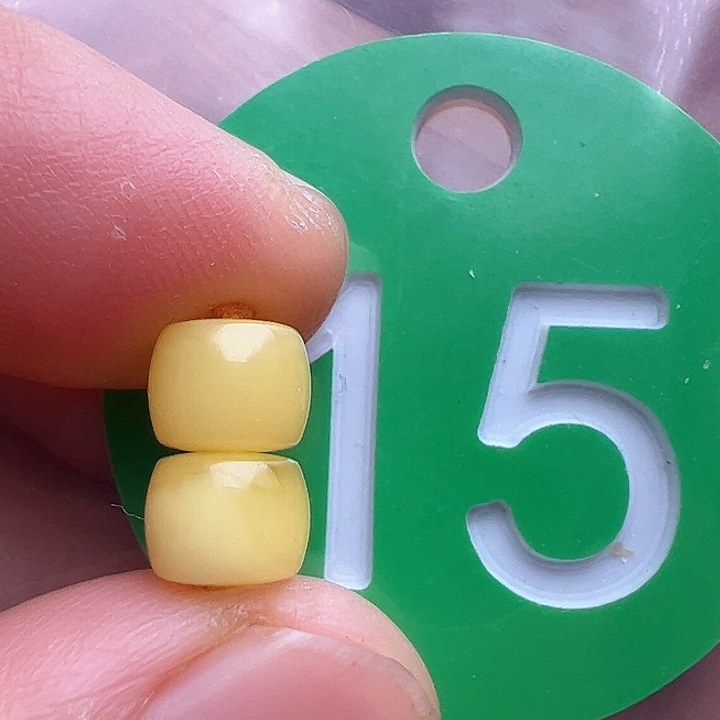 未镶嵌蜜蜡裸石6.5m m