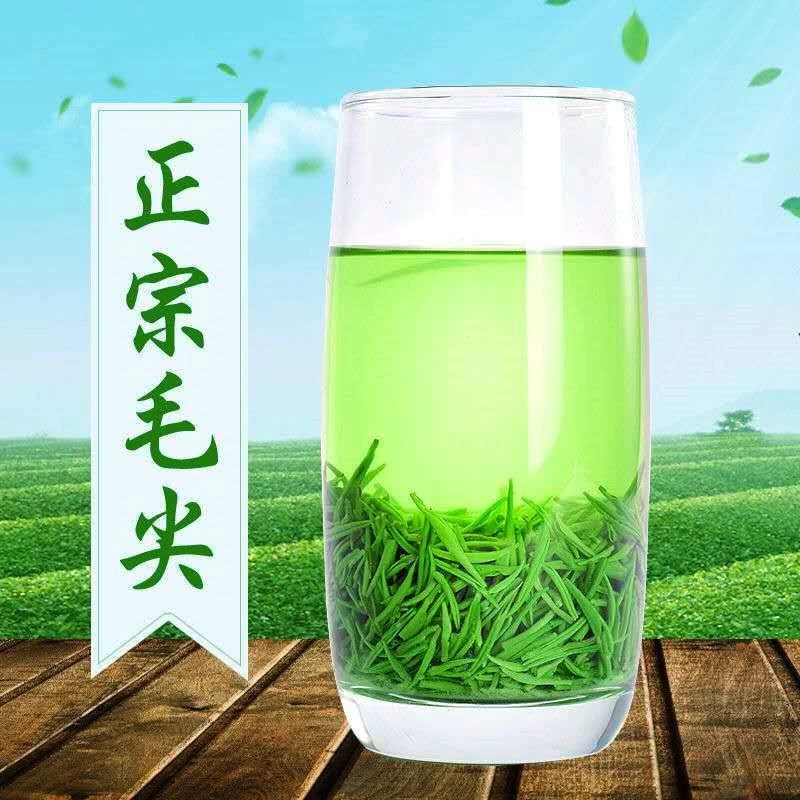 热卖正宗信阳毛尖新茶绿茶高山浓香型嫩叶春茶