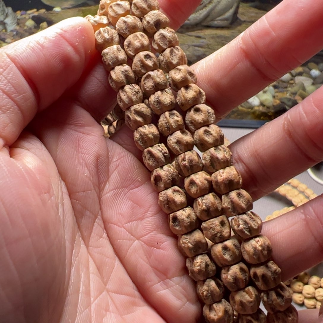 大***儿吊坠柏香籽/百香籽A8