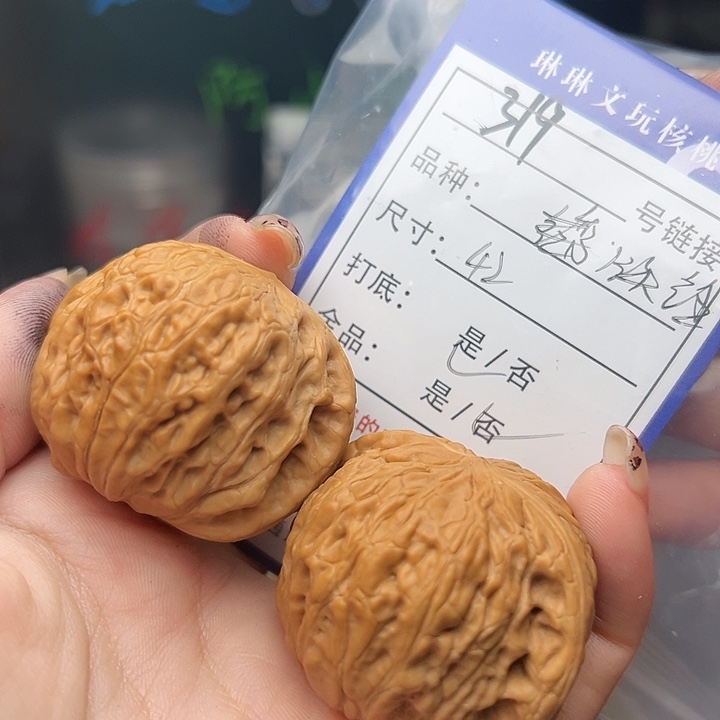 文玩核桃吊坠核桃树319