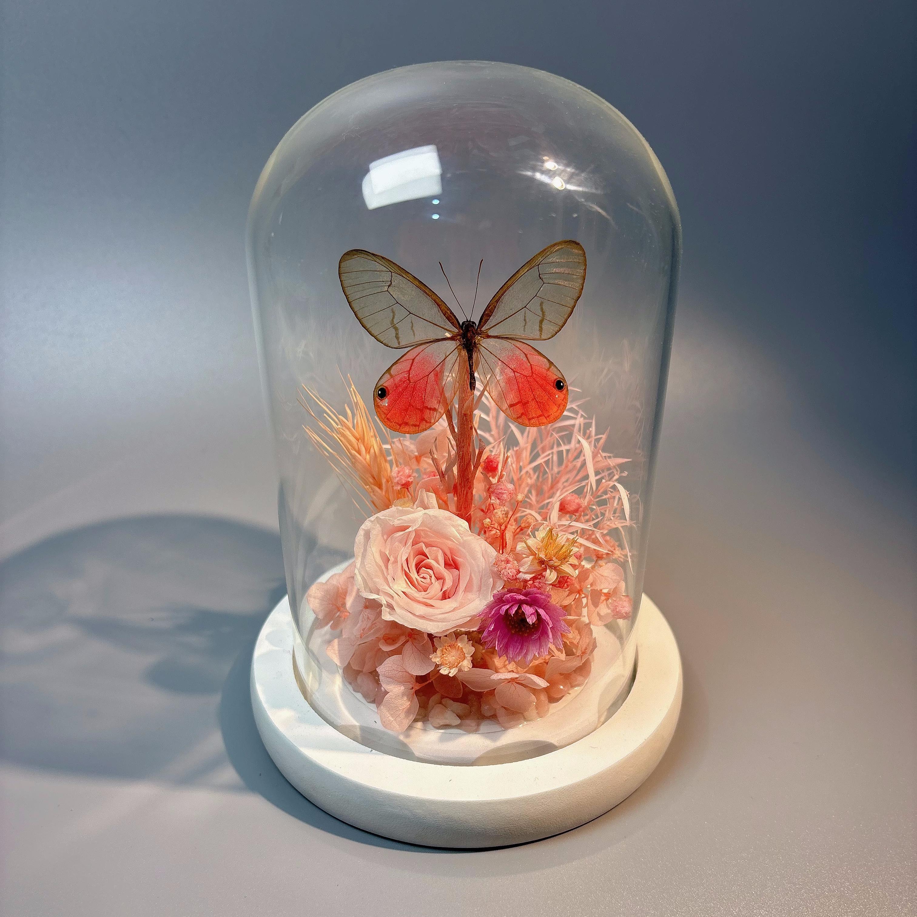 玫瑰晶眼蝶玻璃罩真蝴蝶标本摆台永生花微景观创意桌面家居好礼物
