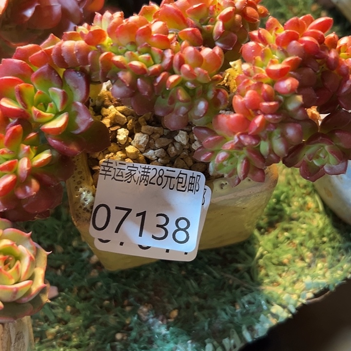 幸运的是我没有遇到你