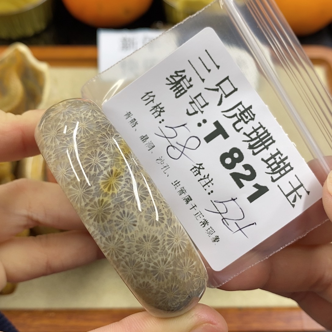 硅化珊瑚（珊瑚玉）1未镶嵌豆*