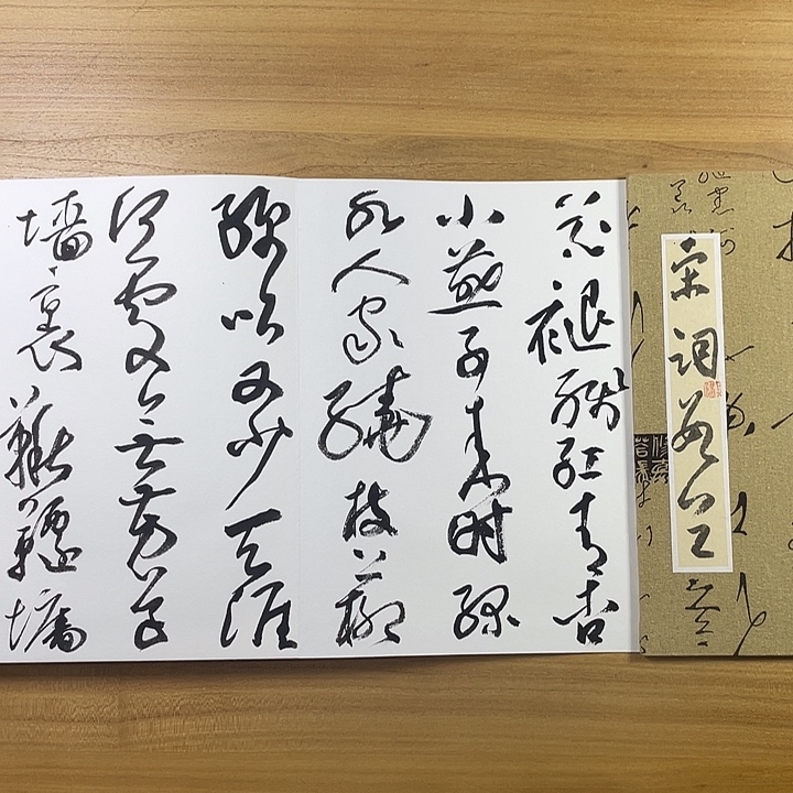 书法中书协会员作品