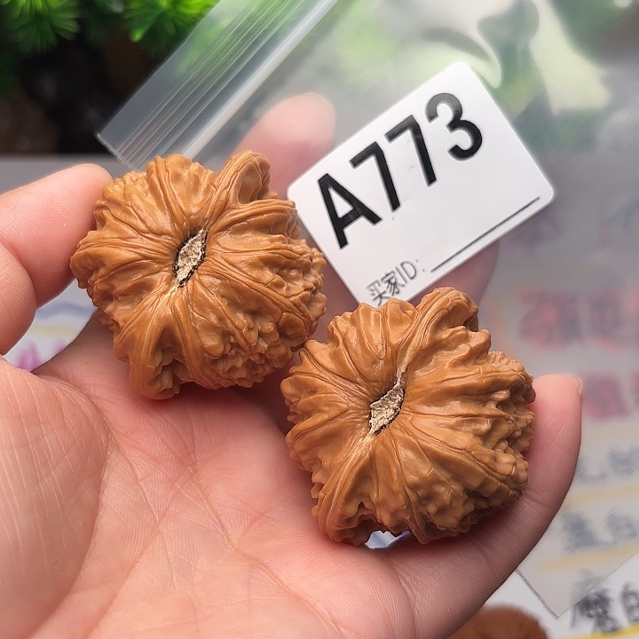 把件桃核我白狮子45
