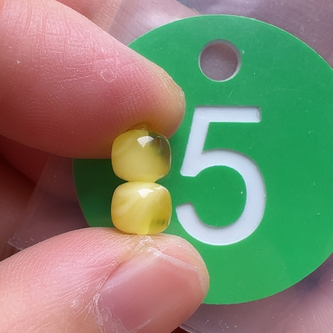 蜜蜡未镶嵌珠宝奇石6m m