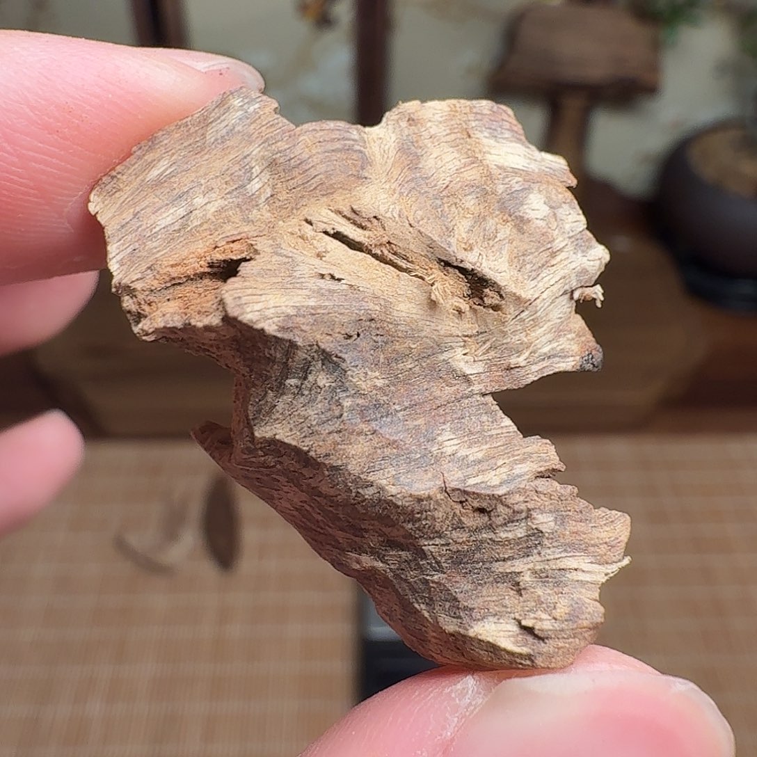 沉香1.76g印度熟结老料