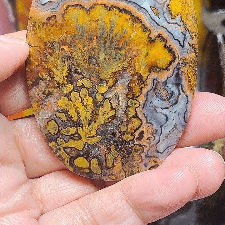 玛瑙/玉髓颈饰合金K****e