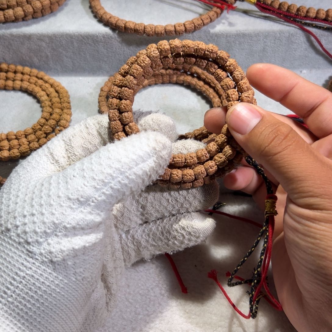 味***奶五爪金龙龙切佛手小金刚