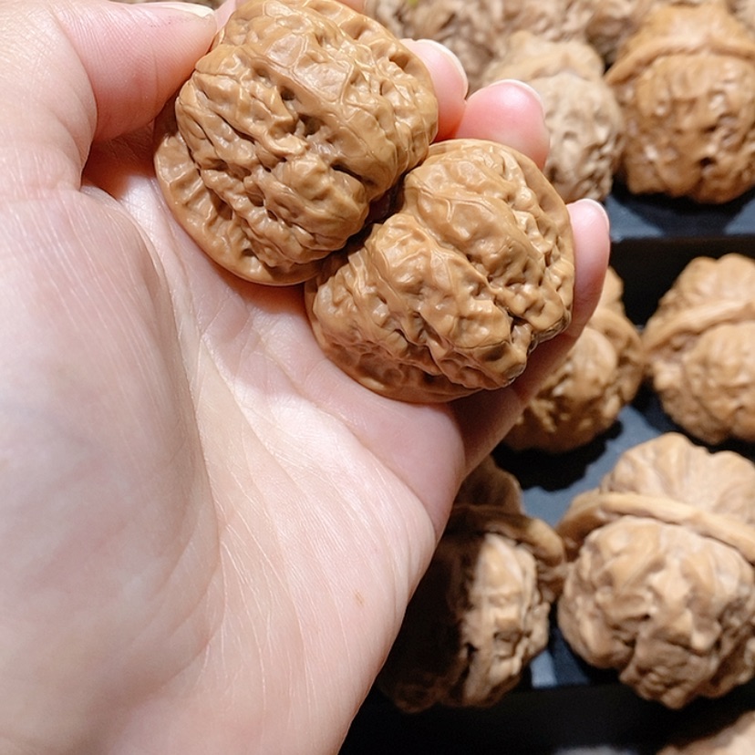 【闪购商品】核桃手串/手链边39蛤蟆头
