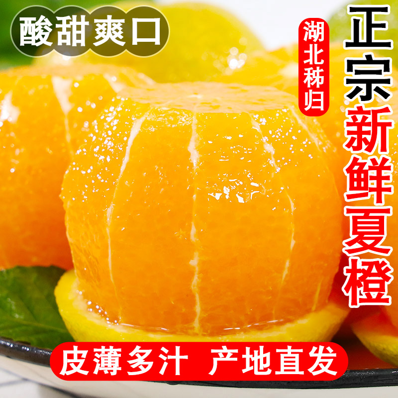 正宗秭归夏橙3/5/9斤新鲜水果酸甜多汁薄皮手剥橙现摘现发