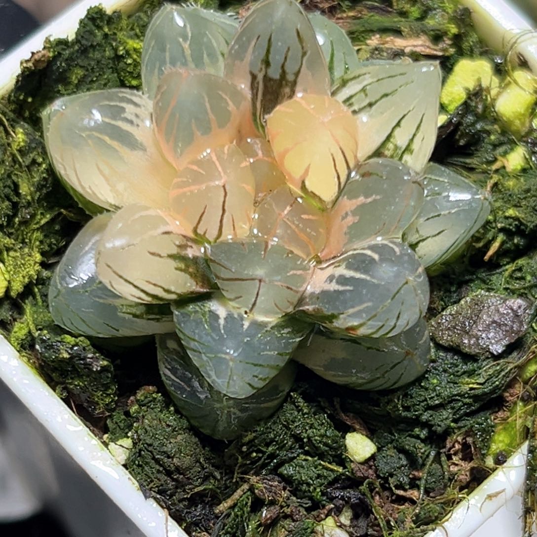 恭喜发财大吉大利0622