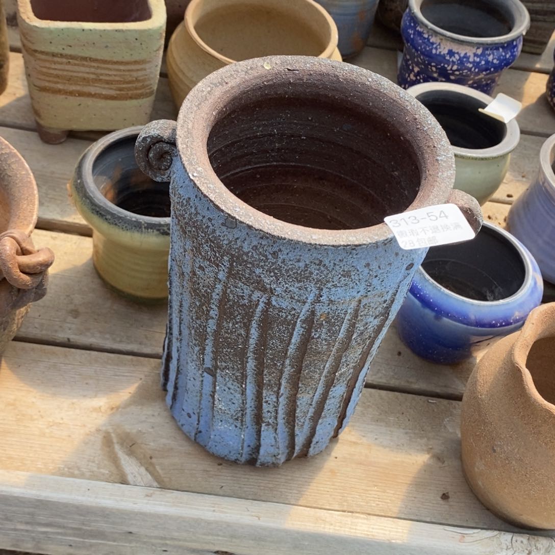 葛*姐54号多肉盆一个呀