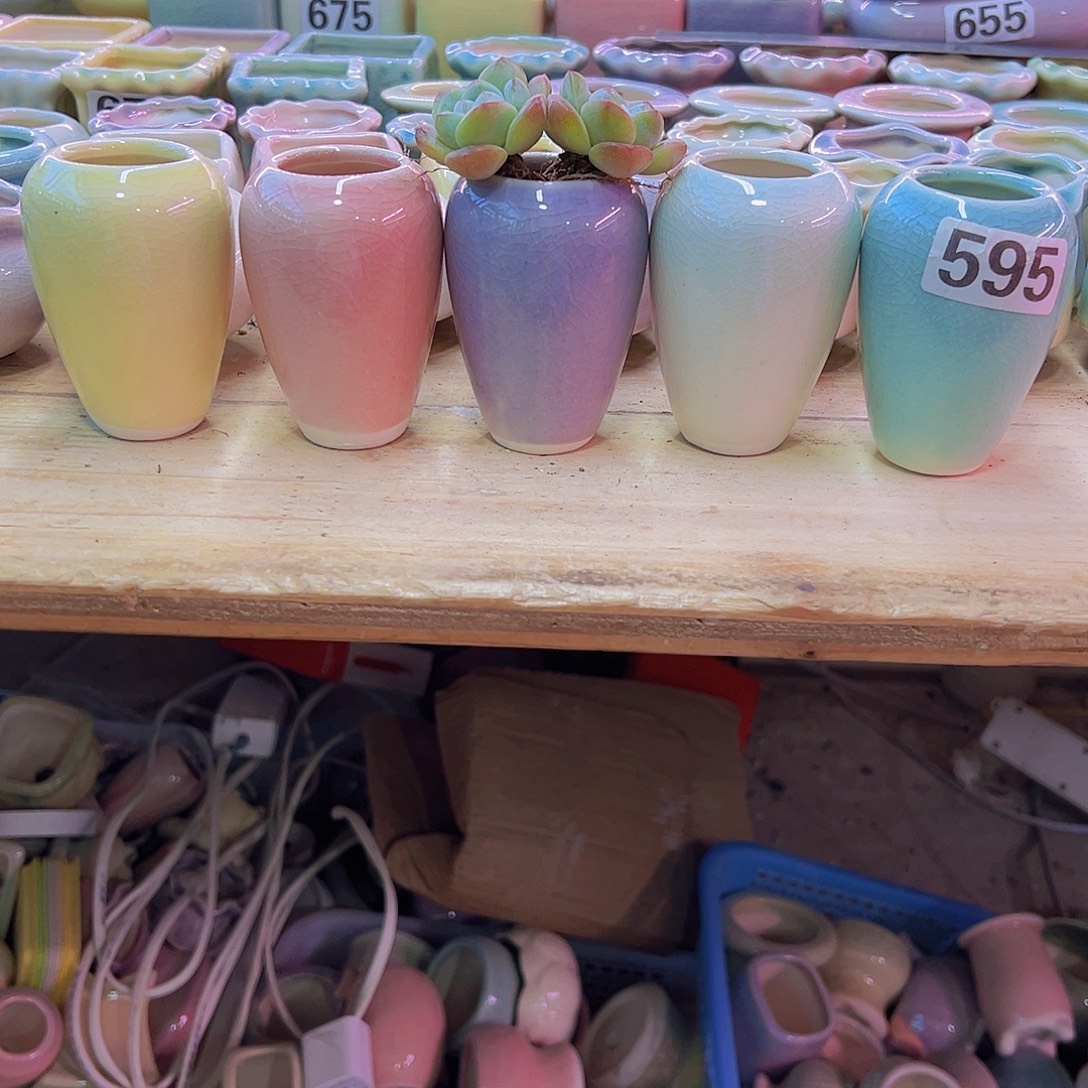 陶瓷花盆当场凑满12包邮