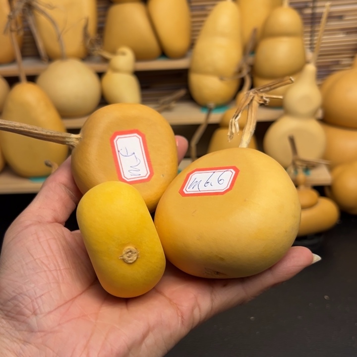 ?****e533666666666666