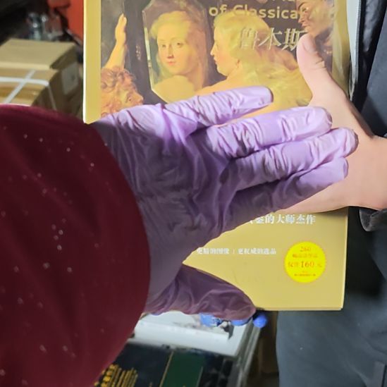 鲁本斯精装库存书库存书库存书