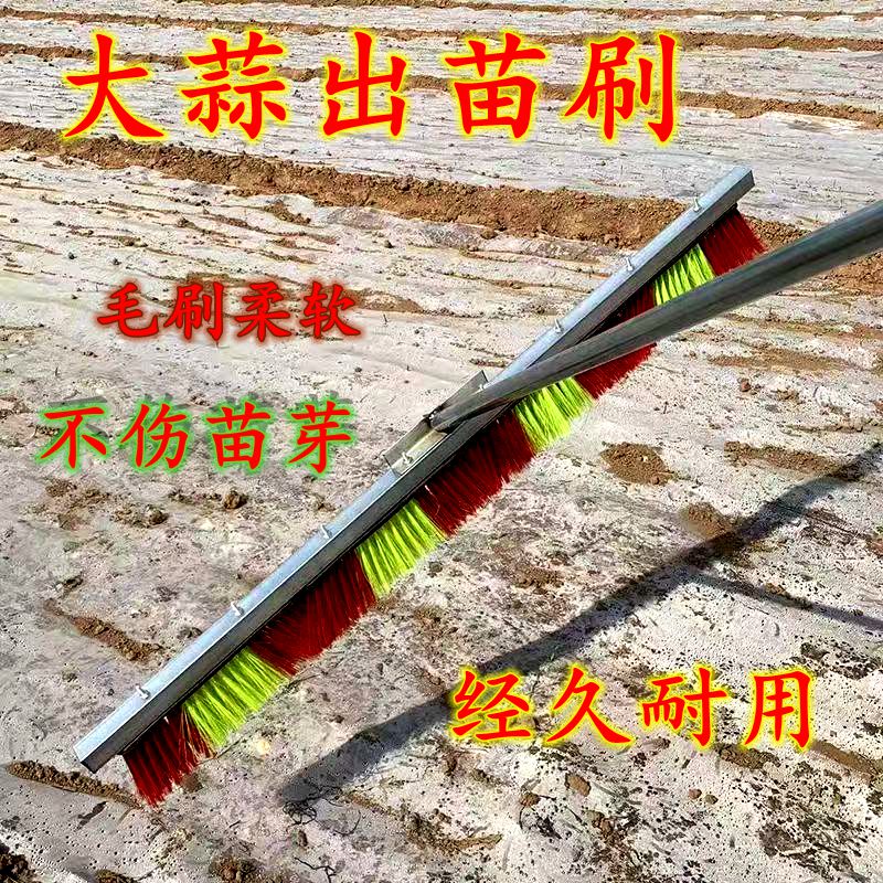 大蒜出苗神器出苗破膜刷