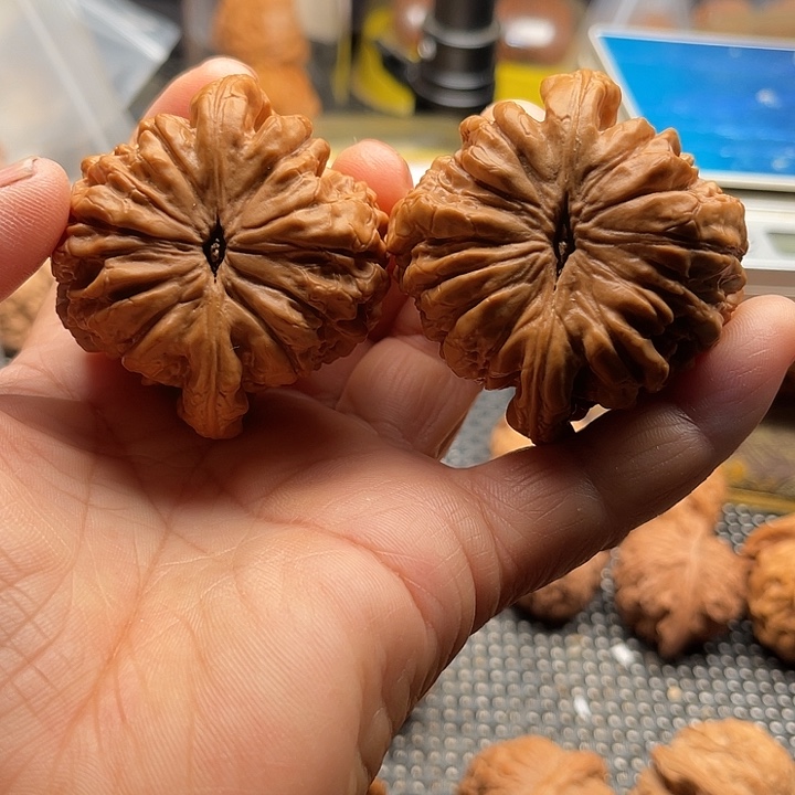 把件桃核全品龙鼎边53