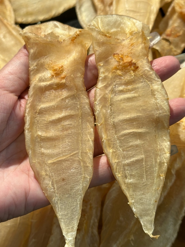 济雄海产品白花胶 贵妇胶肉质鲜美250-500克