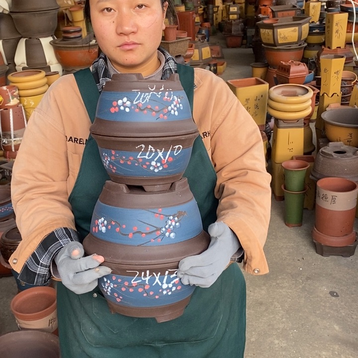 紫砂花盆盆栽花卉苗木种植